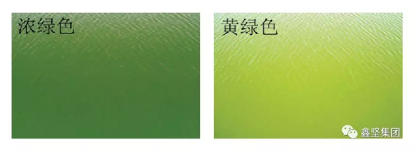 微信圖片_20190513111219.png