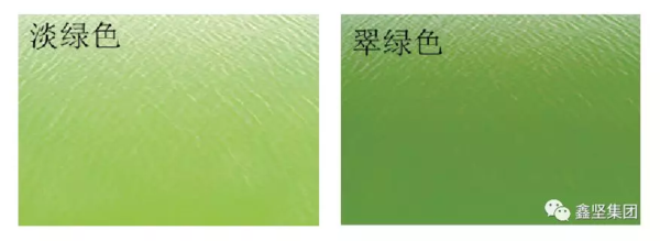 微信圖片_20190513111216.png